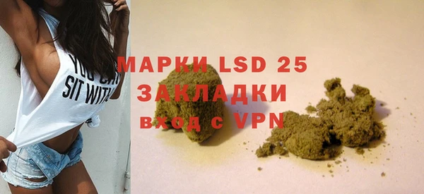 индика Алзамай