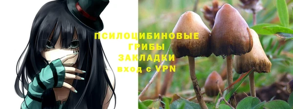 кокаин премиум Алексеевка