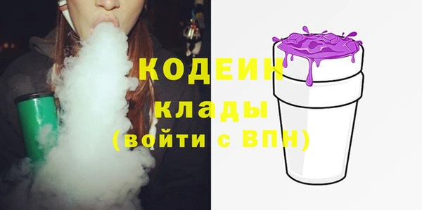 индика Алзамай