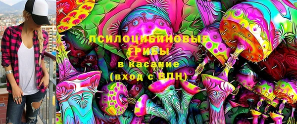 индика Алзамай