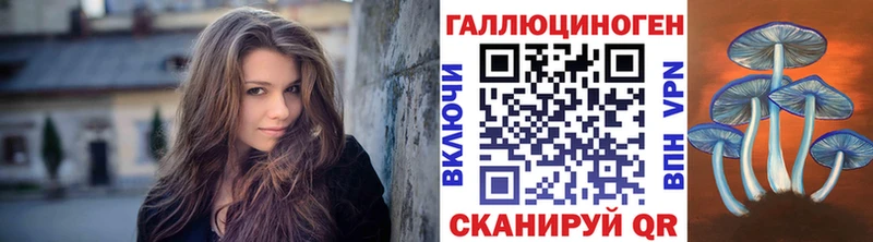 Псилоцибиновые грибы Psilocybe  Приморск 